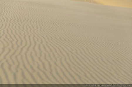 Texture_sur_sable_-08.jpg