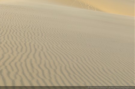 Texture_sur_sable_-09.jpg