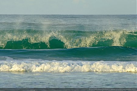 Vagues ocÃ©anes - Biscarrosse plage -03

Les rouleaux de ces vagues ocÃ©anes attirent de nombreux surfeurs sur le littoral atlantique...

[CÃ´te Aquitaine]