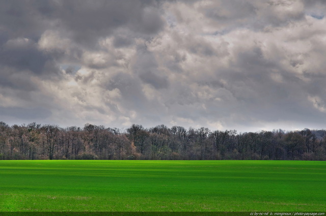 Campagne printanière
Un champs en Seine et Marne 
dans les premiers jours du 
printemps.
Mots-clés: campagne printemps seine_et_marne champs rural culture ile-de-france ile_de_france rural campagne