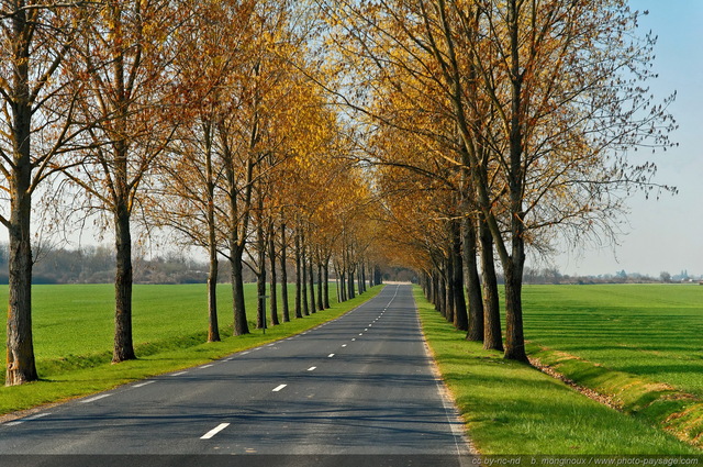 Route départementale
Yvelines, France
Mots-clés: campagne route_departementale yvelines departement_78 ile_de_france ile-de-france ile_de_france rural campagne alignement_d_arbre