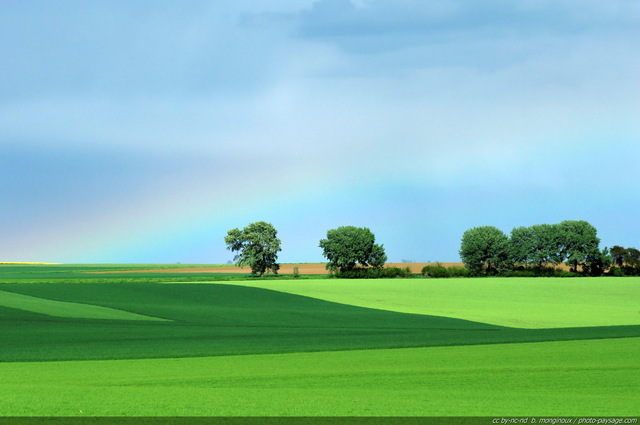 Au pied de l'arc-en-ciel
Promenade dans la campagne francilienne...
Mots-clés: champs campagne culture printemps arc-en-ciel ile-de-france