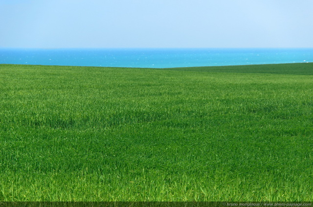 Champs en bord de mer
[Balade dans la campagne normande]
Mots-clés: les_plus_belles_images_de_nature regle_des_tiers campagne normandie littoral-normand calvados les_plus_belles_images_de_nature