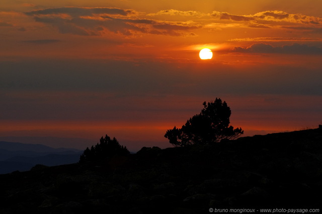 Brume matinale sur les montagnes cevenoles -09
Un lever de soleil photographié depuis
le Mont-Aigoual (1567m), dans les Cévennes.
Mots-clés: mont-aigoual cevennes montagne aurore lever_de_soleil aube degrade_de_couleurs texture brume languedoc-roussillon massif-central