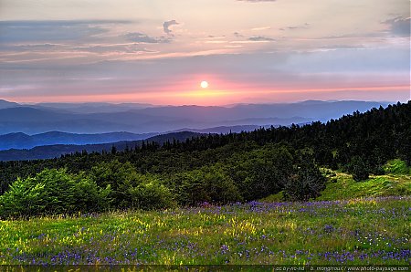 Lever_de_soleil_sur_la_prairie_-_HDR.JPG