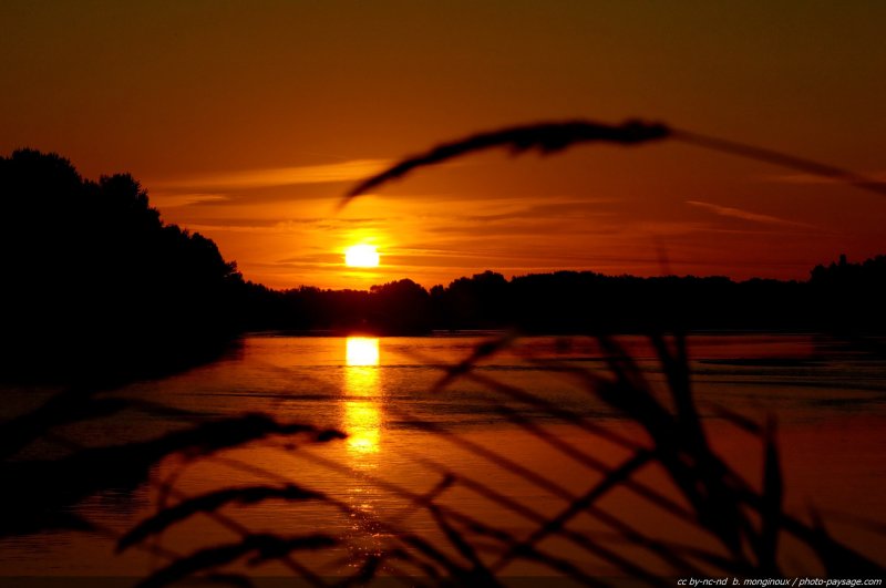 Le soleil se leve sur la Loire -02
La Loire, fleuve sauvage...
Mots-clés: lever_de_soleil lever_de_soleil loire fleuve reflets aube aurore etoile nature matin contre-jour
