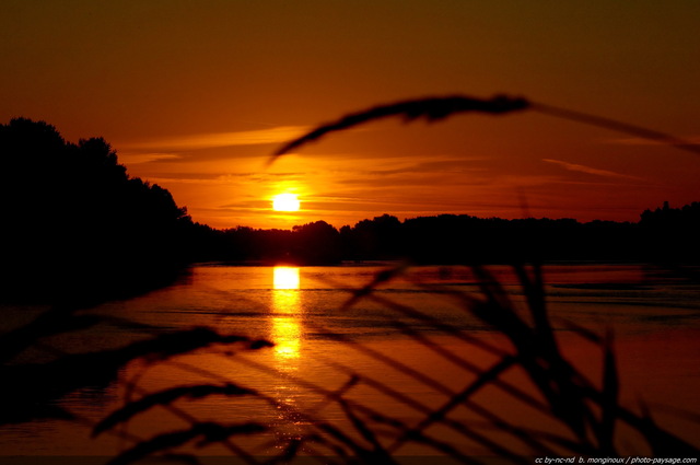 Le soleil se leve sur la Loire -02
La Loire, fleuve sauvage...
Mots-clés: lever_de_soleil lever_de_soleil loire fleuve reflets aube aurore etoile nature matin contre-jour