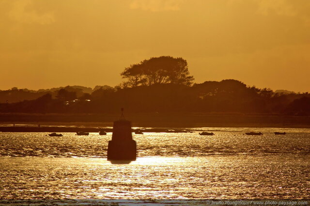 Coucher de soleil sur la baie de Quiberon - 172
Port Navalo, Presqu'île de Rhuys
Morbihan, Bretagne
Mots-clés: mer cote littoral bretagne morbihan coucher_de_soleil contre-jour coucher_de_soleil reflets presqu-ile_de_rhuys ocean atlantique