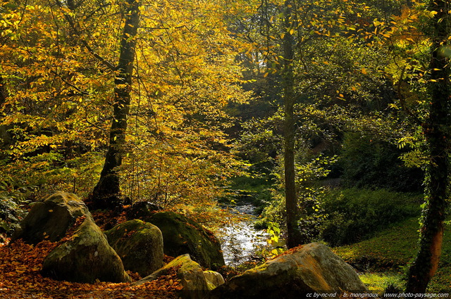 Une image d'automne photographiée en forêt de Rambouillet (en arrière plan derrière les rochers : le Ru de Vaux)
Vaux de Cernay, Yvelines, France
Mots-clés: vaux-de-cernay yvelines rambouillet automne riviere ruisseau les_plus_belles_images_de_nature