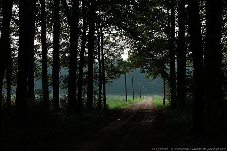 La_route_dans_la_clairiere.jpg