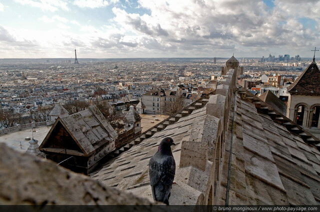 Paris vu depuis le toit du Sacré Coeur
Paris, France
Mots-clés: paris toits paysage_urbain hdr montmartre sacre_coeur oiseau pigeon tour_eiffel tour-eiffel la_defense