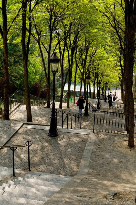Les escaliers de la Butte Montmartre
Paris, France
Mots-clés: paris escalier lampadaires ete montmartre categ_ete cadrage_vertical