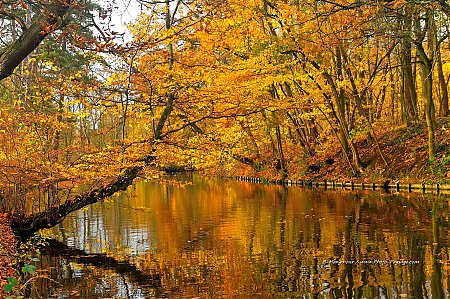 Le_lac_des_Minimes_en_automne_-33.jpg