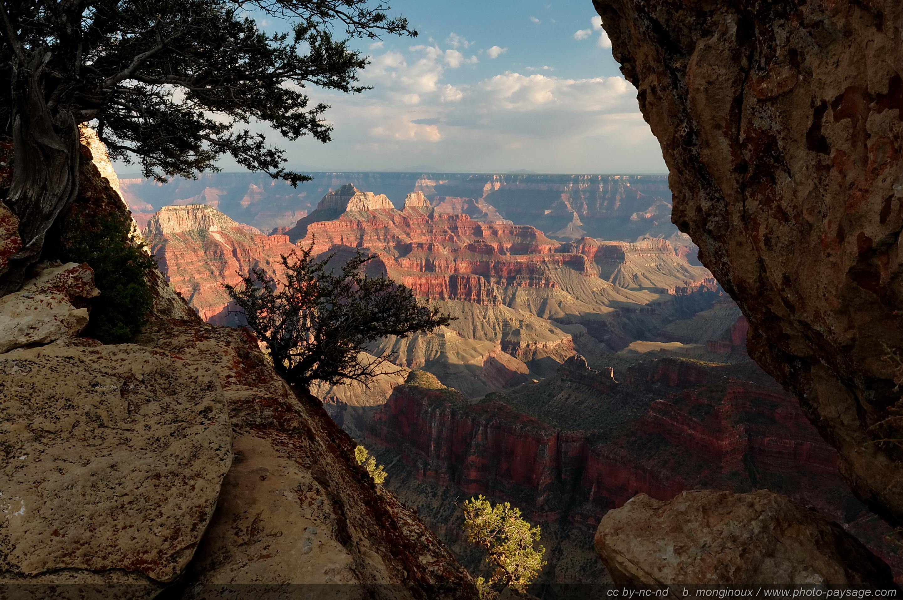 Grand Canyon vue plongeante sur un des plus beaux 