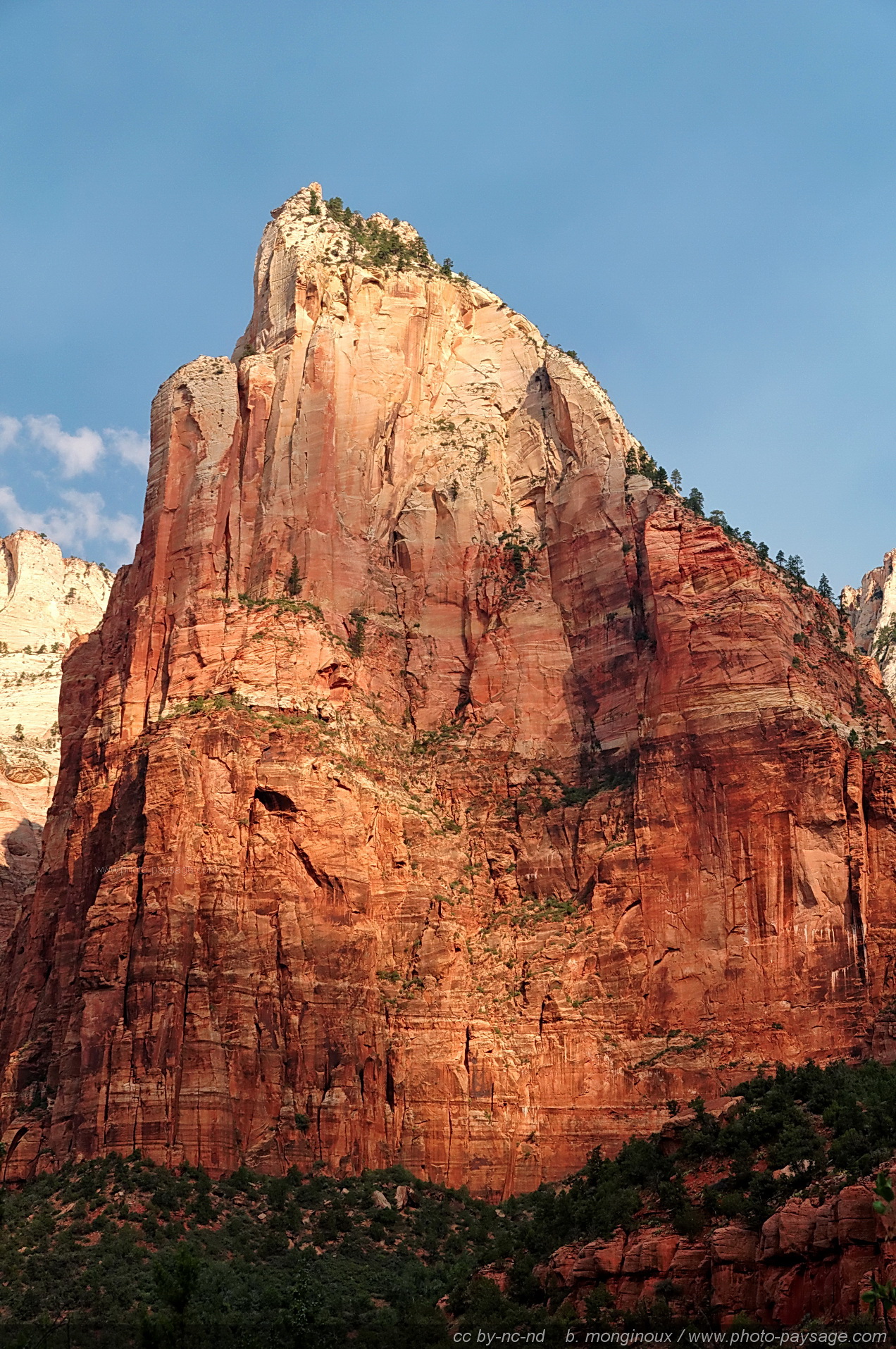 zion peak mid