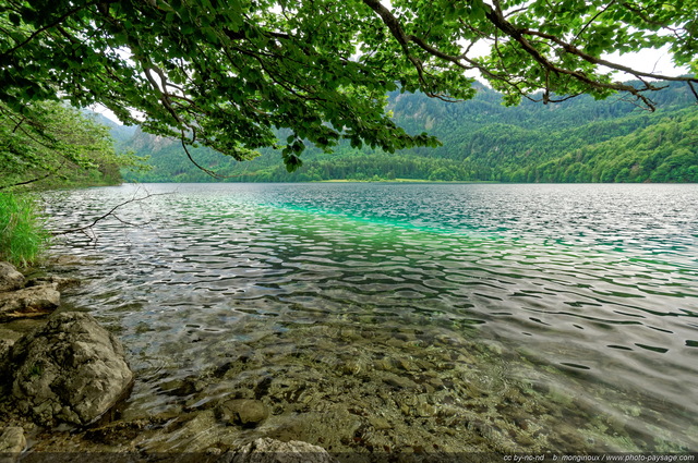 A l'ombre d'un arbre sur la rive du lac Alpsee
Schwangau, Bavière, Allemagne
Mots-clés: allemagne categorielac