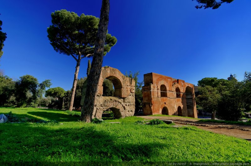 Acqua Claudia sur le Mont Palatin 
Rome, Italie
Mots-clés: mont_palatin rome italie ruine monument jardins_de_rome