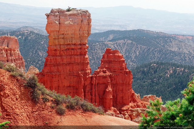 Agua Canyon  - Bryce Canyon   01
Bryce Canyon National Park, Utah, USA
Mots-clés: bryce_canyon utah usa nature hoodoo categ_ete montagne_usa