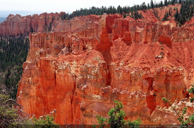 Agua Canyon -  Bryce Canyon   03
Bryce Canyon National Park, Utah, USA
Mots-clés: bryce_canyon utah usa nature hoodoo categ_ete montagne_usa