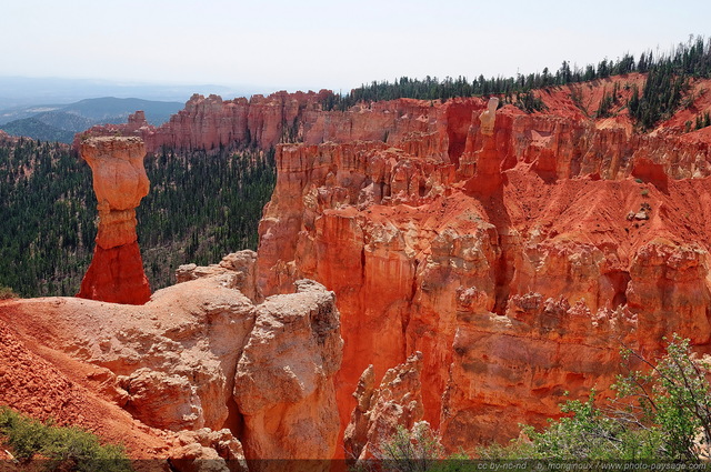 Agua Canyon
Bryce Canyon National Park, Utah, USA
Mots-clés: bryce_canyon utah usa nature hoodoo categ_ete montagne_usa