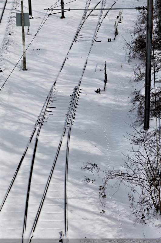 Aiguillages recouverts de neige
Notez sur cette photo les traces laissées par un animal dans la neige, le long de la voie ferrée. 
Mots-clés: hiver neige voie-ferree cadrage_vertical