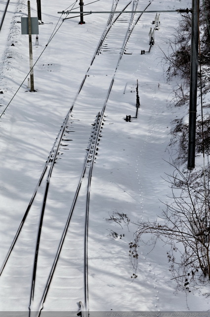 Aiguillages recouverts de neige
Notez sur cette photo les traces laissées par un animal dans la neige, le long de la voie ferrée. 
Mots-clés: hiver neige voie-ferree cadrage_vertical