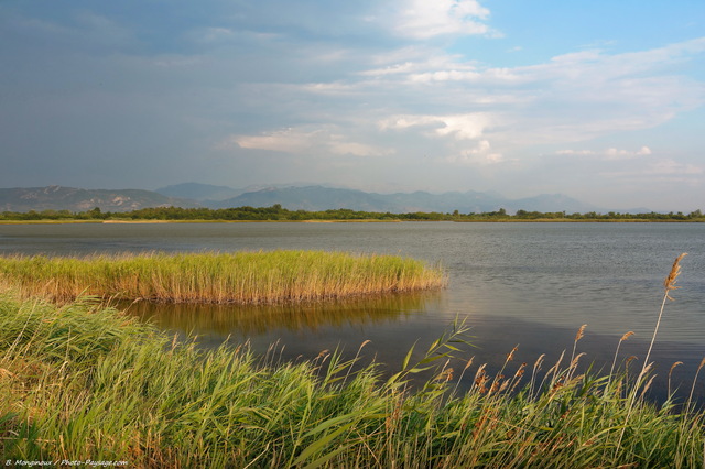 Réserve naturelle de Kunë-Vain-Tale
Lezhë, Albanie
Mots-clés: albanie categ_ete