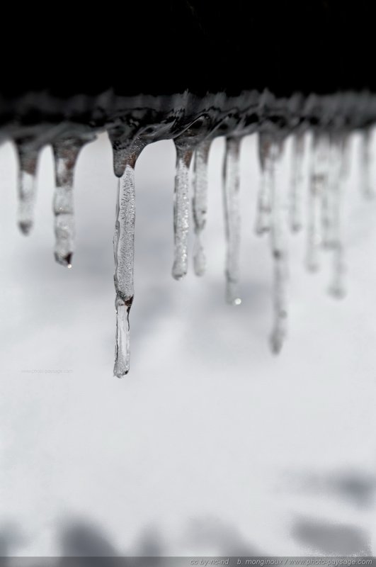 Alignement de stalactites de glace   1
[hiver]
Mots-clés: hiver glace stalactite fonte froid cadrage_vertical