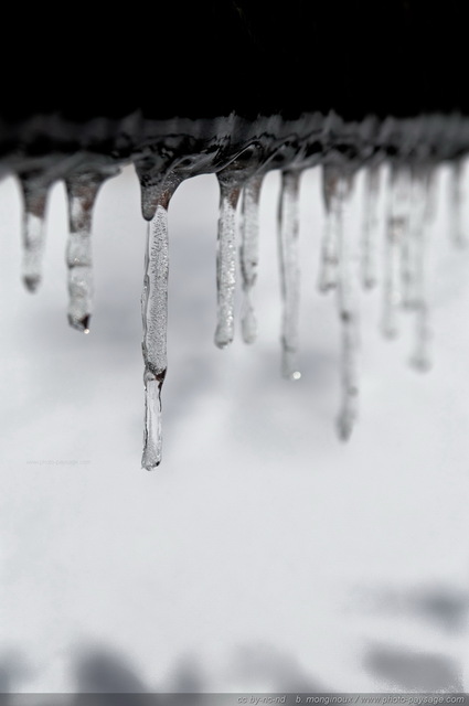 Alignement de stalactites de glace   1
[hiver]
Mots-clés: hiver glace stalactite fonte froid cadrage_vertical