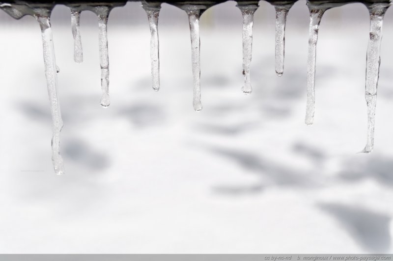 Alignement de stalactites de glace   2
La neige fond l'après midi puis regèle dans la nuit, créant ces petites sculptures aussi éphémères que discrètes (ici sur le long du dossier d'un banc public).
[hiver]
Mots-clés: hiver glace stalactite fonte froid