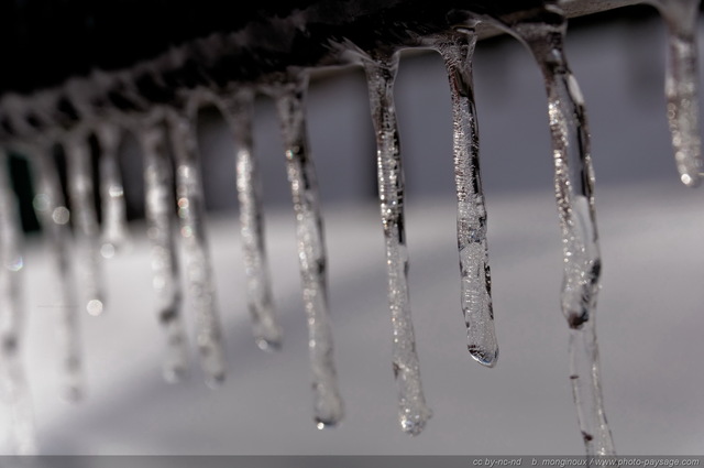 Des petites stalactites de glace
En se cassant, ces stalactites éphémères émettent un léger son cristallin.
[hiver]
Mots-clés: hiver glace stalactite fonte froid