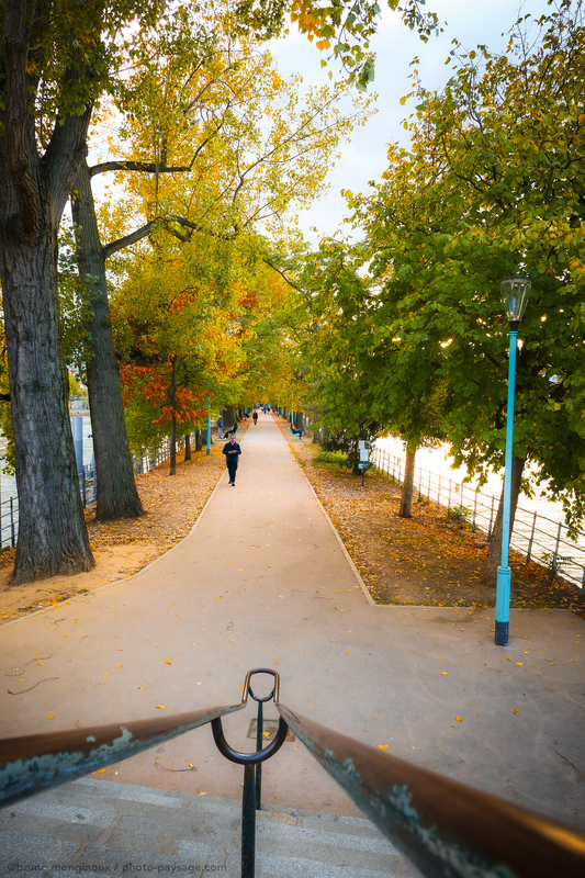 Allée des cygnes en automne 
Paris
Mots-clés: Automne cadrage_vertical lampadaire