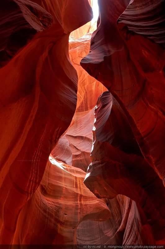 Un puits de lumière au fond de ces gorges étroites
Upper Antelope Canyon, réserve de la Nation Navajo, Arizona, USA
Mots-clés: antelope canyon arizona navajo usa