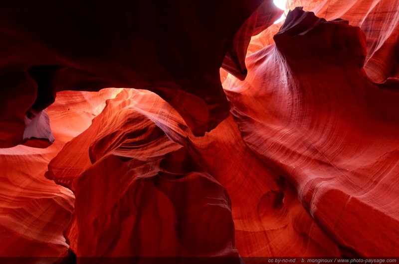 Des couleurs uniques au fond de ce canyon
Upper Antelope Canyon, réserve de la Nation Navajo, Arizona, USA
Mots-clés: antelope canyon arizona navajo usa