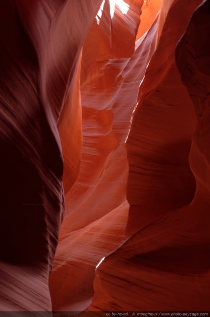 Antelope Canyon : des parois rocheuses magnifiquement sculptées par l'érosion
Upper Antelope Canyon, réserve de la Nation Navajo, Arizona, USA
Mots-clés: antelope canyon arizona navajo usa cadrage_vertical