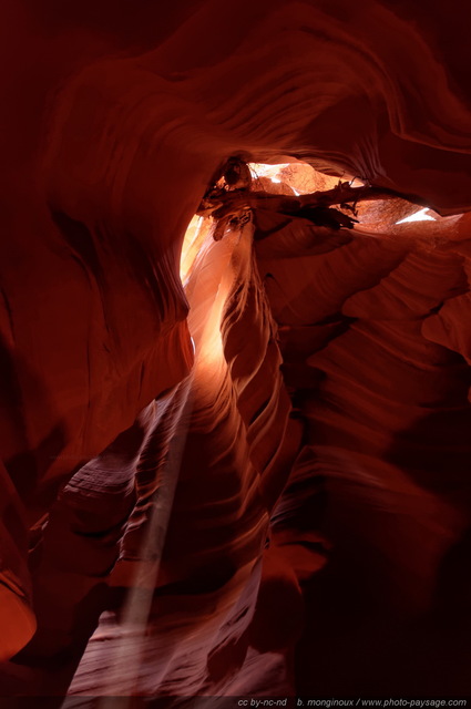 Antelope Canyon, Arizona, USA - 17
Upper Antelope Canyon, réserve de la Nation Navajo, Arizona, USA
Mots-clés: antelope canyon arizona navajo usa cadrage_vertical