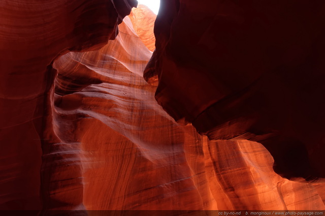 Un visage sculpté par l'érosion au fond d'Antelope Canyon
Upper Antelope Canyon, réserve de la Nation Navajo, Arizona, USA
Mots-clés: antelope canyon arizona navajo usa