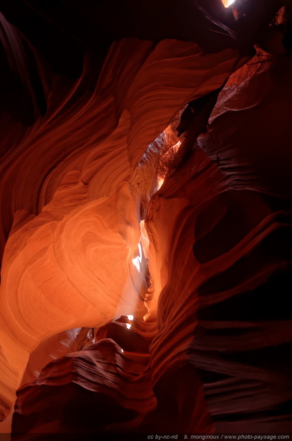 Une branche d'arbre coincée entre les parois d'Antelope Canyon
Upper Antelope Canyon, réserve de la Nation Navajo, Arizona, USA
Mots-clés: antelope canyon arizona navajo usa cadrage_vertical