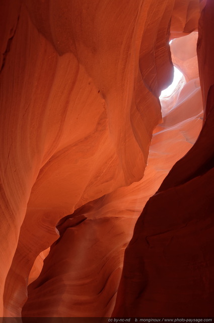 Les parois rapprochées d'Antelope Canyon
Upper Antelope Canyon, réserve de la Nation Navajo, Arizona, USA
Mots-clés: antelope canyon arizona navajo usa cadrage_vertical