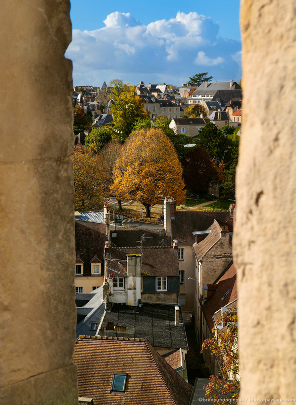 Un arbre en automne 
Photographié depuis les remparts du château de Caen 
Caen, Normandie 
Mots-clés: Cadrage_vertical automne