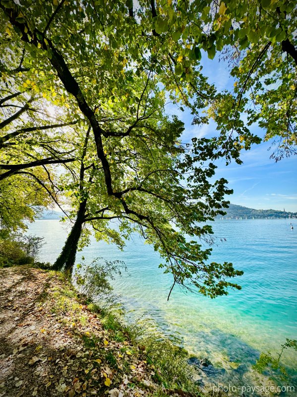 A l’ombre d’un arbre sur les rives du lac d’Annecy
Annecy, Haute-Savoie
Mots-clés: Categorielac cadrage_vertical