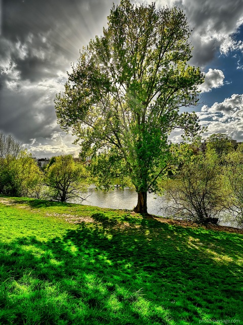 Un bel arbre en bord de Marne
Le printemps au bord de la Marne
Mots-clés: plus_belles_images_de_printemps contre-jour Marne cadrage_vertical rayon_de_soleil