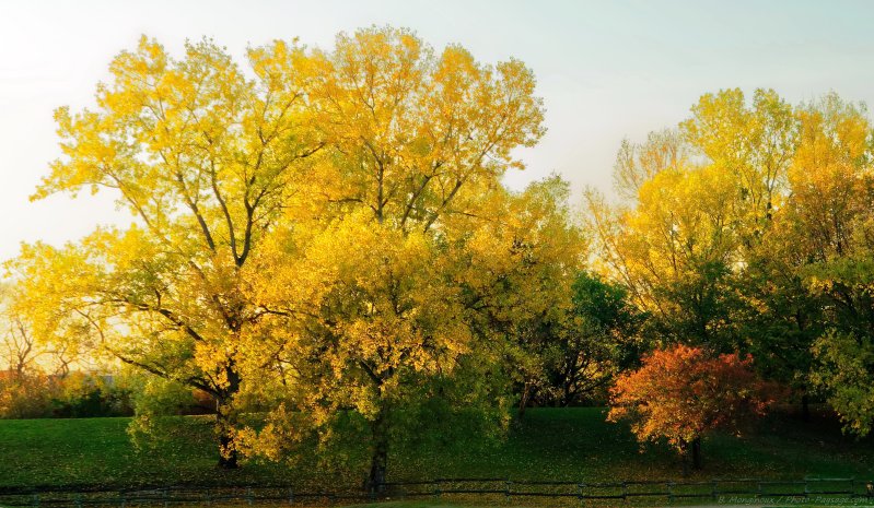 Automne
Les couleurs de l'automne
Mots-clés: automne