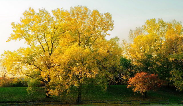 Automne
Les couleurs de l'automne
Mots-clés: automne