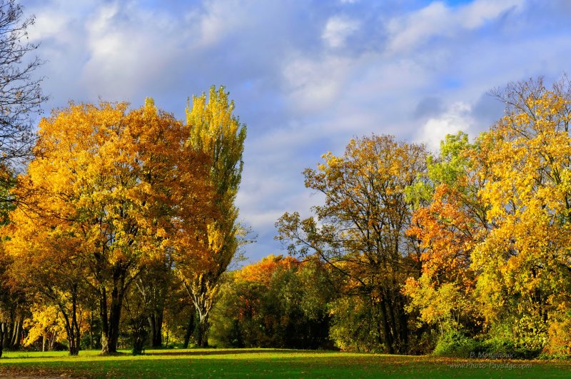Paysage d'automne
Des arbres dans un parc photographiés par une belle journée d'automne ensoleillée.

[Photos d'automne]
Mots-clés: belles-photos-automne automne couleur feuilles les_plus_belles_images_de_nature