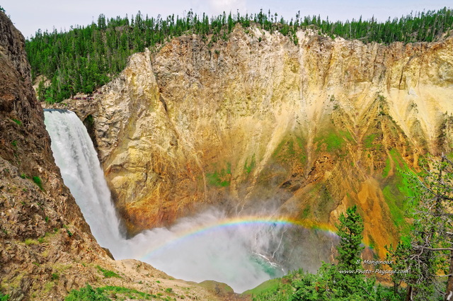 Arc en ciel au pied des lowers falls de Yellowstone
Parc national de Yellowstone, Wyoming, USA
Mots-clés: yellowstone cascade usa wyoming canyon categ_ete arc-en-ciel les_plus_belles_images_de_nature