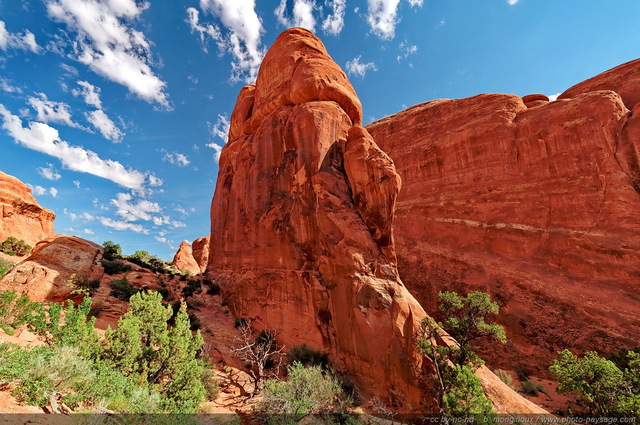 Arches : les paysages de Devil's Garden -  02
Arches National Park, Utah, USA
Mots-clés: USA etats-unis utah categ_ete desert falaise