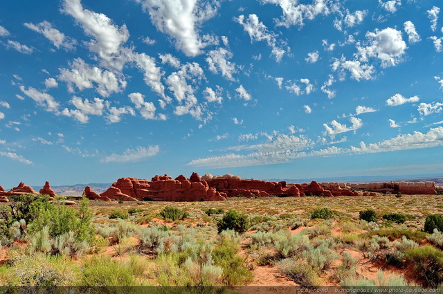 Arches : les paysages de Devil's Garden - 04
Arches National Park, Utah, USA
Mots-clés: USA etats-unis utah categ_ete desert