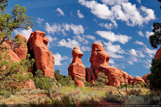 Arches : les paysages de Devil's Garden -  05
Arches National Park, Utah, USA
Mots-clés: USA etats-unis utah categ_ete desert falaise piton