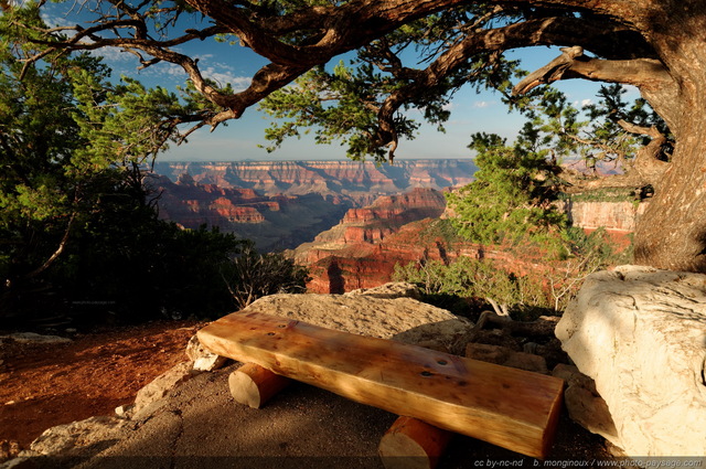 Assis sur un banc au bord du Grand Canyon
Parc National du Grand Canyon (North Rim), Arizona, USA
Mots-clés: arbre_remarquable grand-canyon north-rim arizona usa nature montagne categ_ete conifere banc les_plus_belles_images_de_nature